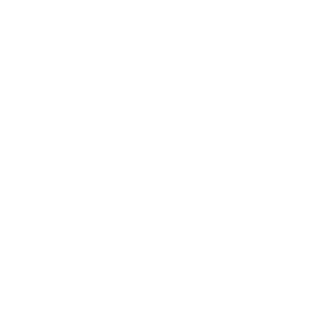 carport icon